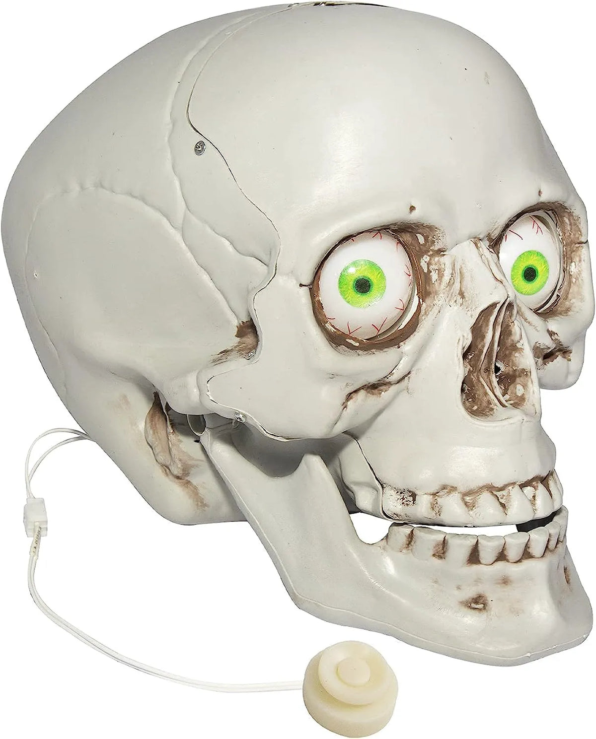 Skull Table Centerpiece