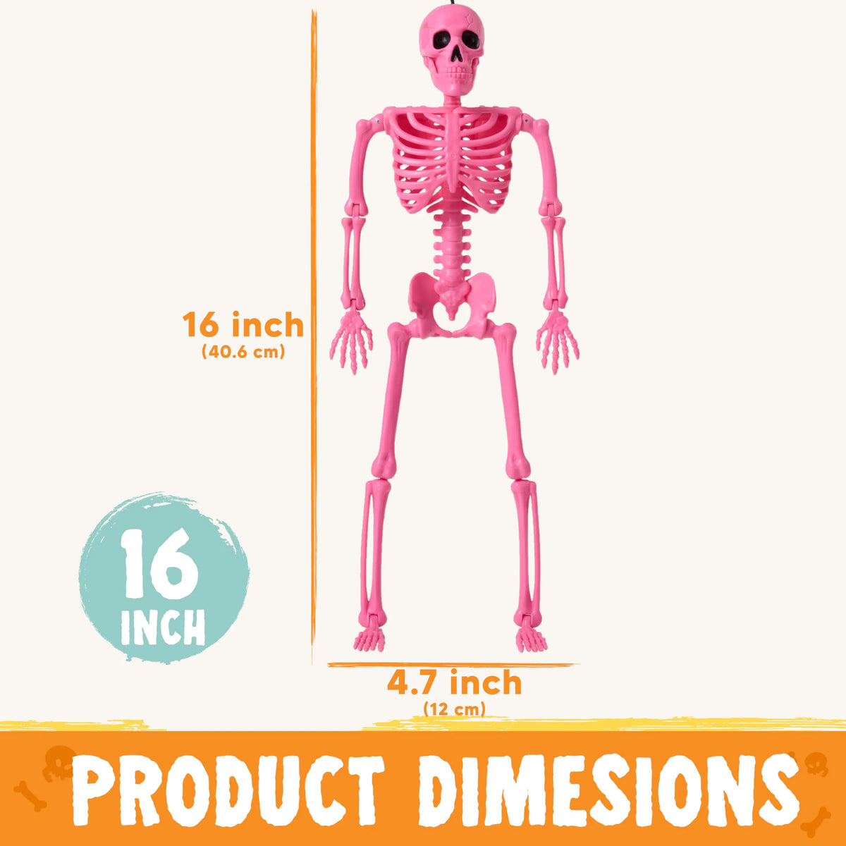 5 Pack Posable Halloween Skeleton Decorations, 16 Inches
