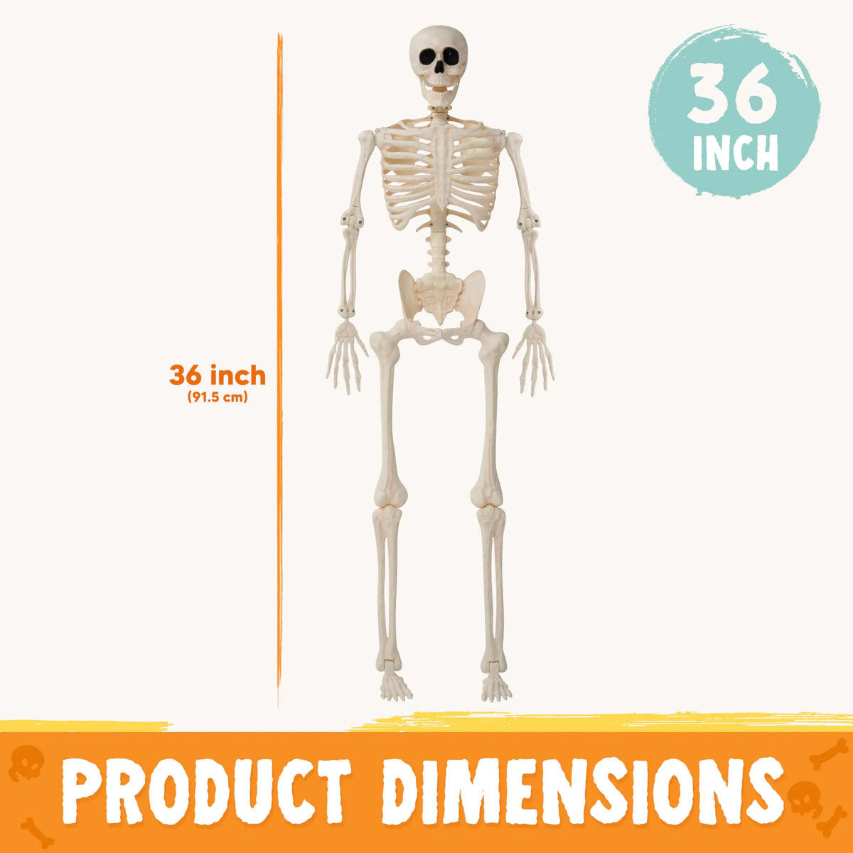 36-Inch Halloween Skeleton Decoration