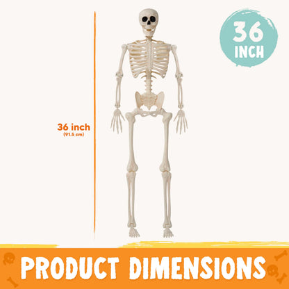 36-Inch Halloween Skeleton Decoration