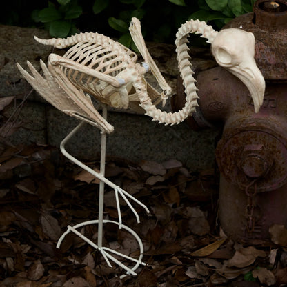 27.6-Inch Flamingo Skeleton Halloween Decoration