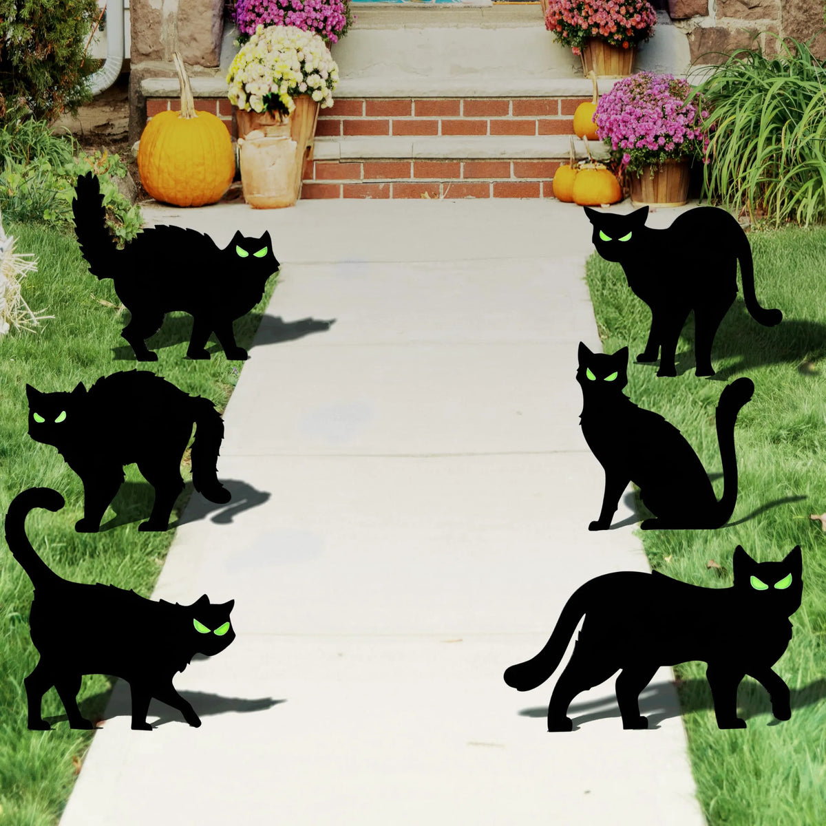 6 Halloween Black Cat Yard Signs with Glow-in-the-Dark Eyes