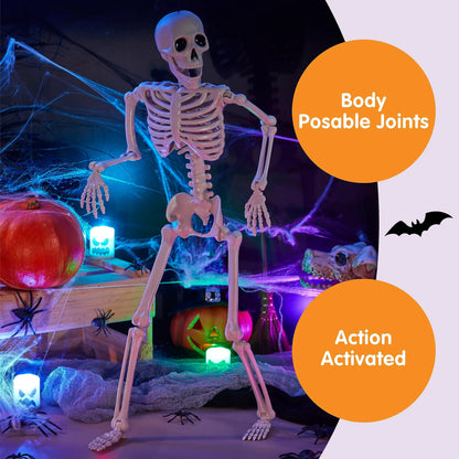12 PCS 16" Halloween Skeleton Decor