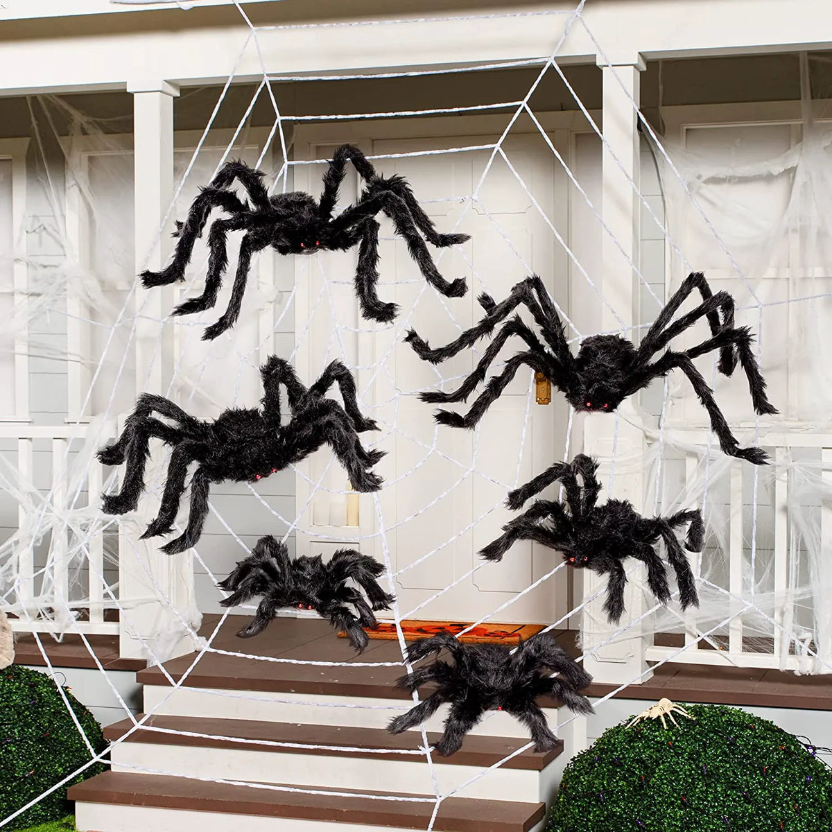6-Pack Halloween Black Spider Set