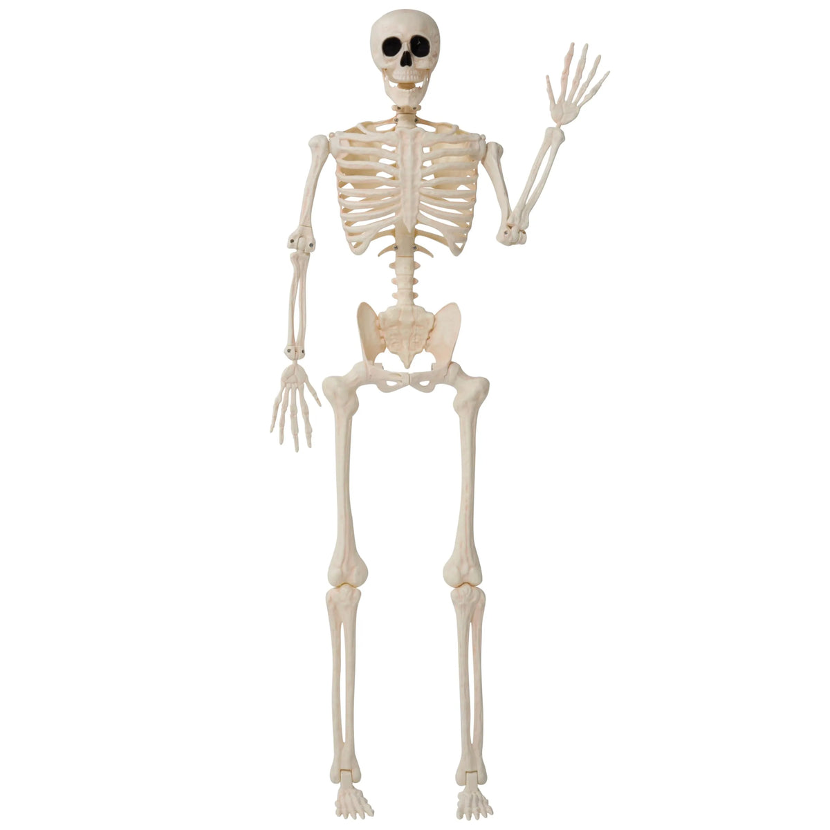 36-Inch Halloween Skeleton Decoration