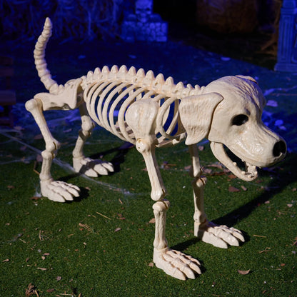 Halloween Golden Retriever Skeleton 34" Animal Dog