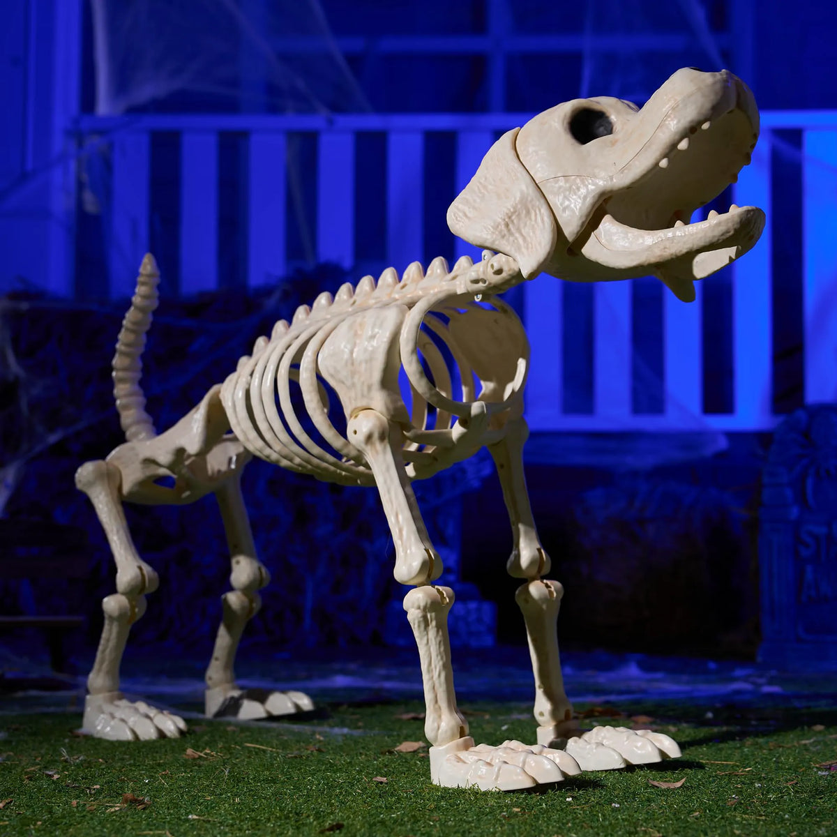 Halloween Golden Retriever Skeleton 34" Animal Dog