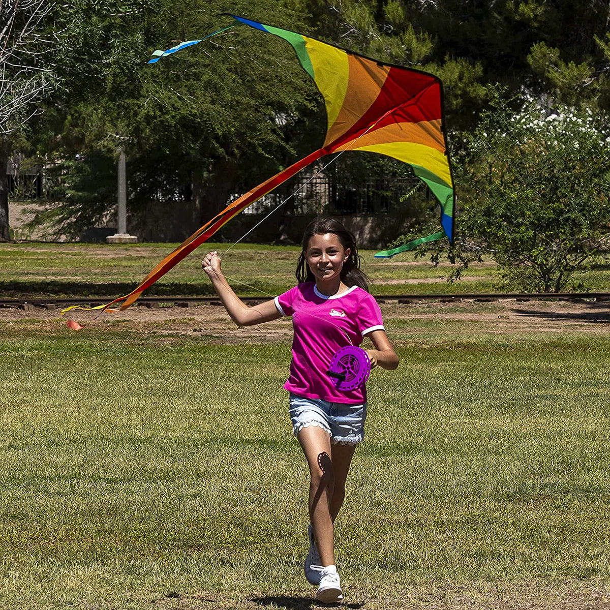 Big Delta Kite 3-Pack (Red, Green, Purple)
