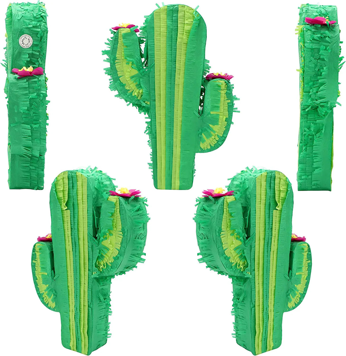 Cinco de Mayo Cactus Piñata