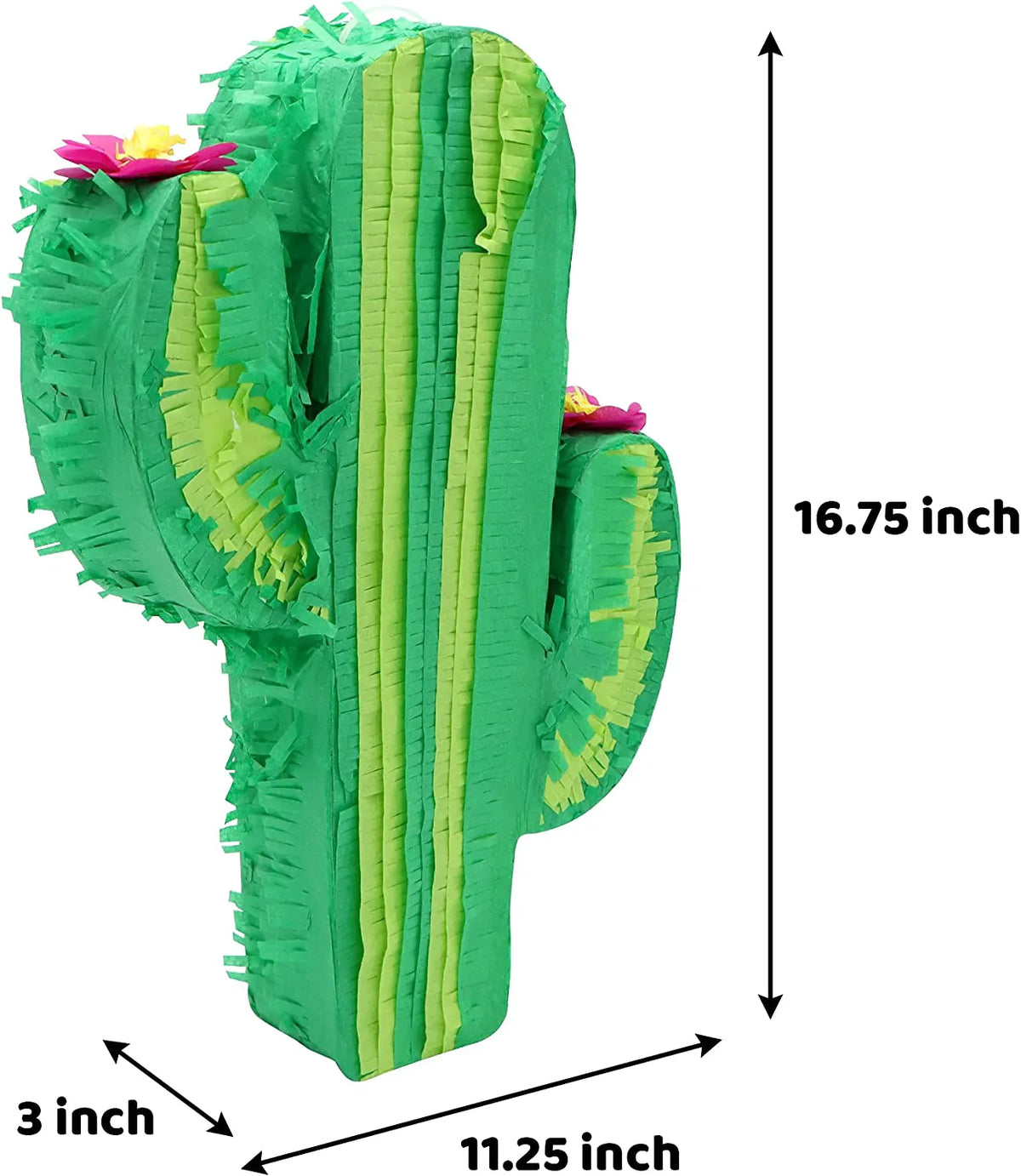 Cinco de Mayo Cactus Piñata