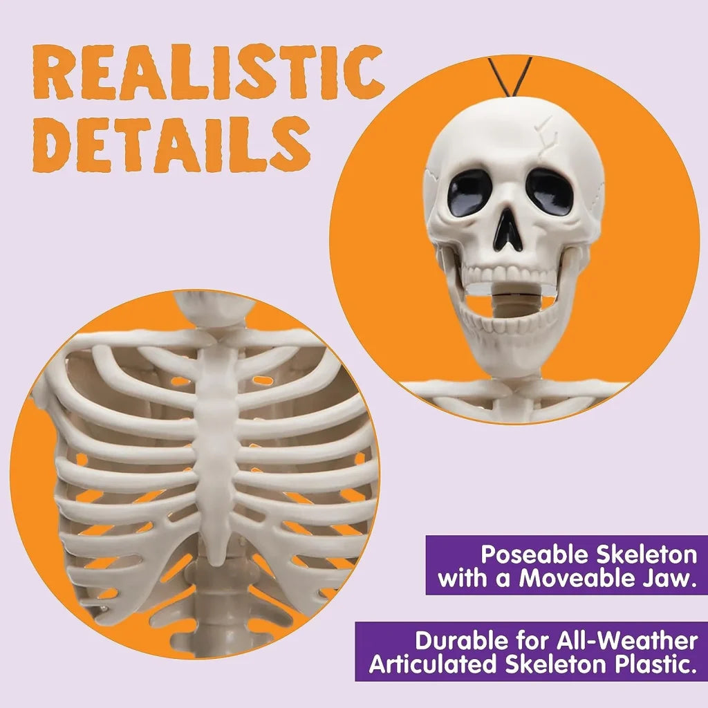 JOIN 10-Pack 16-Inch Halloween Hanging Skeletons