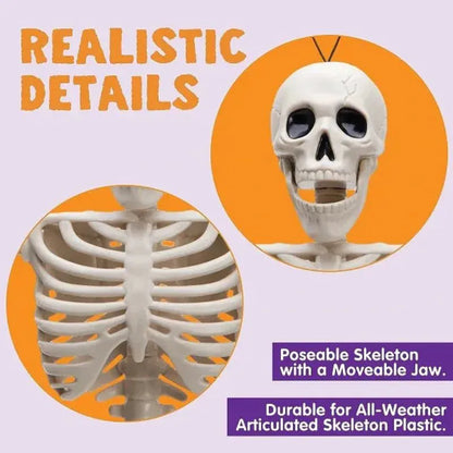 2 PCS 16 Inch Halloween Skeletons with Posable Joints