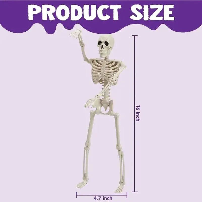 2 PCS 16 Inch Halloween Skeletons with Posable Joints