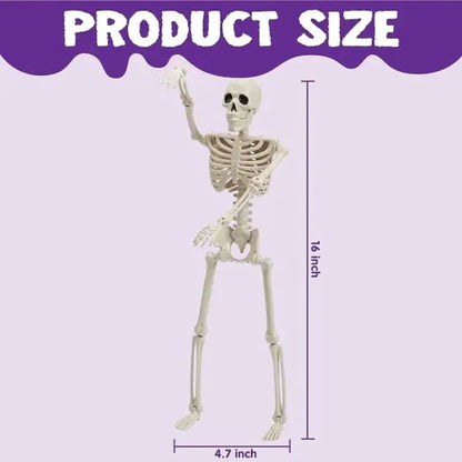 2 PCS 16 Inch Halloween Skeletons with Posable Joints