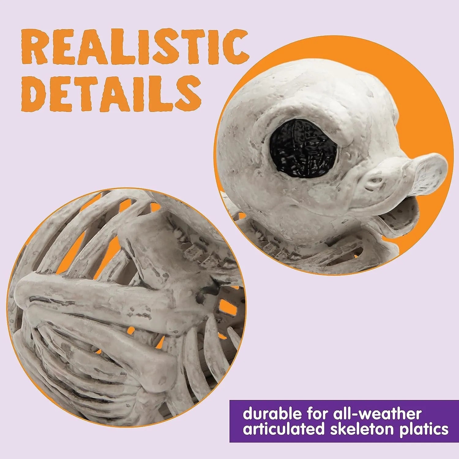 JOYIN 2 Pack 4.5-Inch Halloween Duck Skeleton Plastic Bones