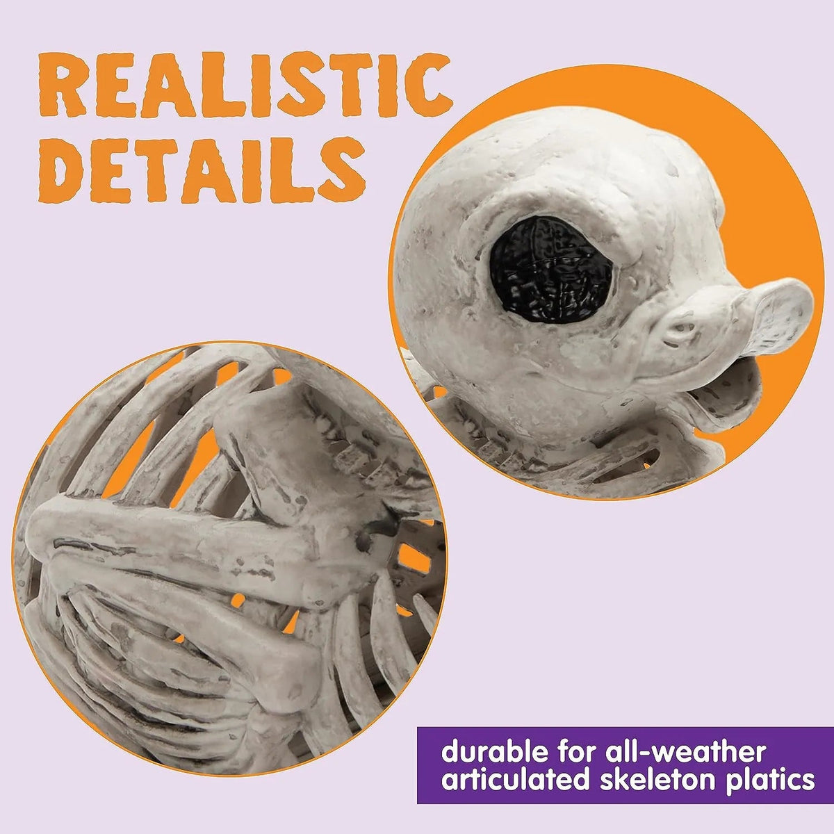 JOYIN 2 Pack 4.5-Inch Halloween Duck Skeleton Plastic Bones