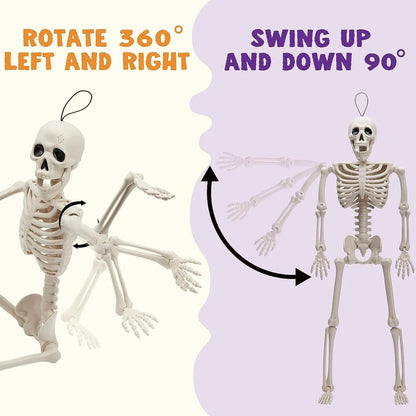 5 PCS Posable Halloween Skeletons, 16 Inches Full Body with Posable Joints