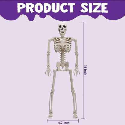 5 PCS Posable Halloween Skeletons, 16 Inches Full Body with Posable Joints