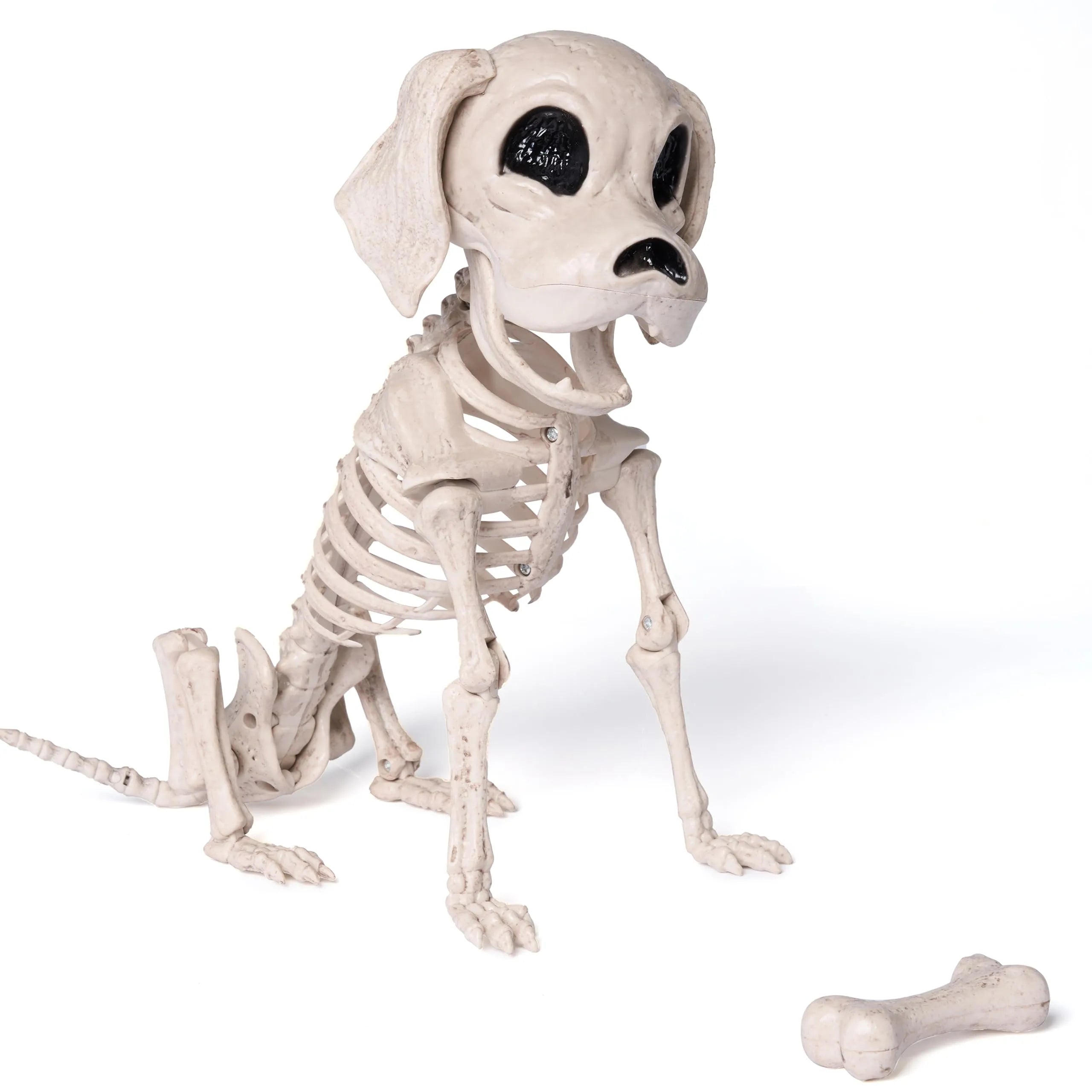 Posable Halloween Dog Skeleton - Full Body with Posable Joints - Skeleton Puppy