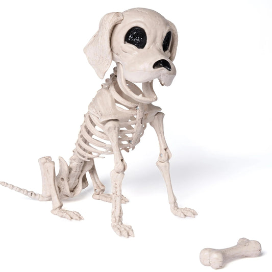 Posable Halloween Dog Skeleton - Full Body with Posable Joints - Skeleton Puppy