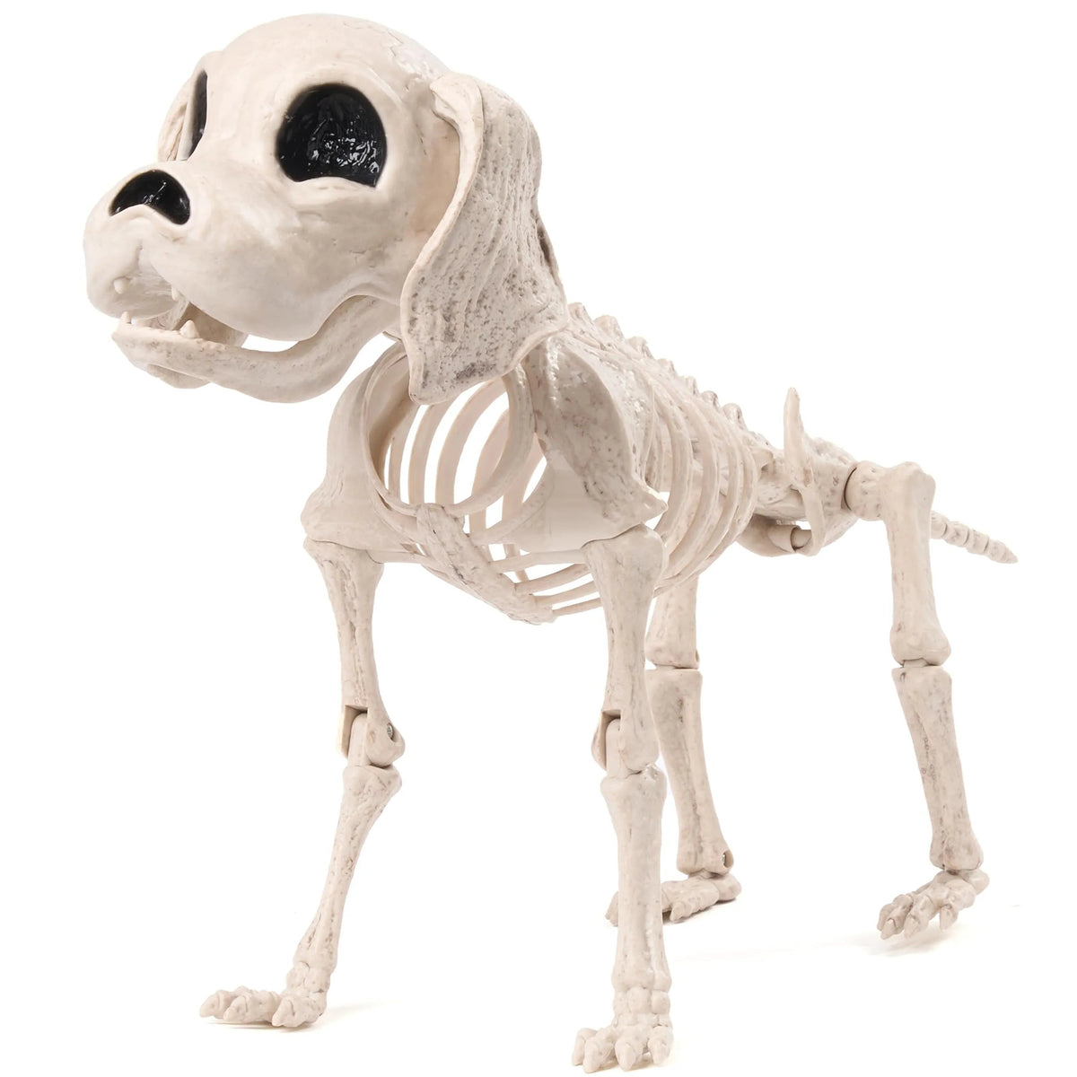 Posable Halloween Dog Skeleton - Full Body with Posable Joints - Skeleton Puppy
