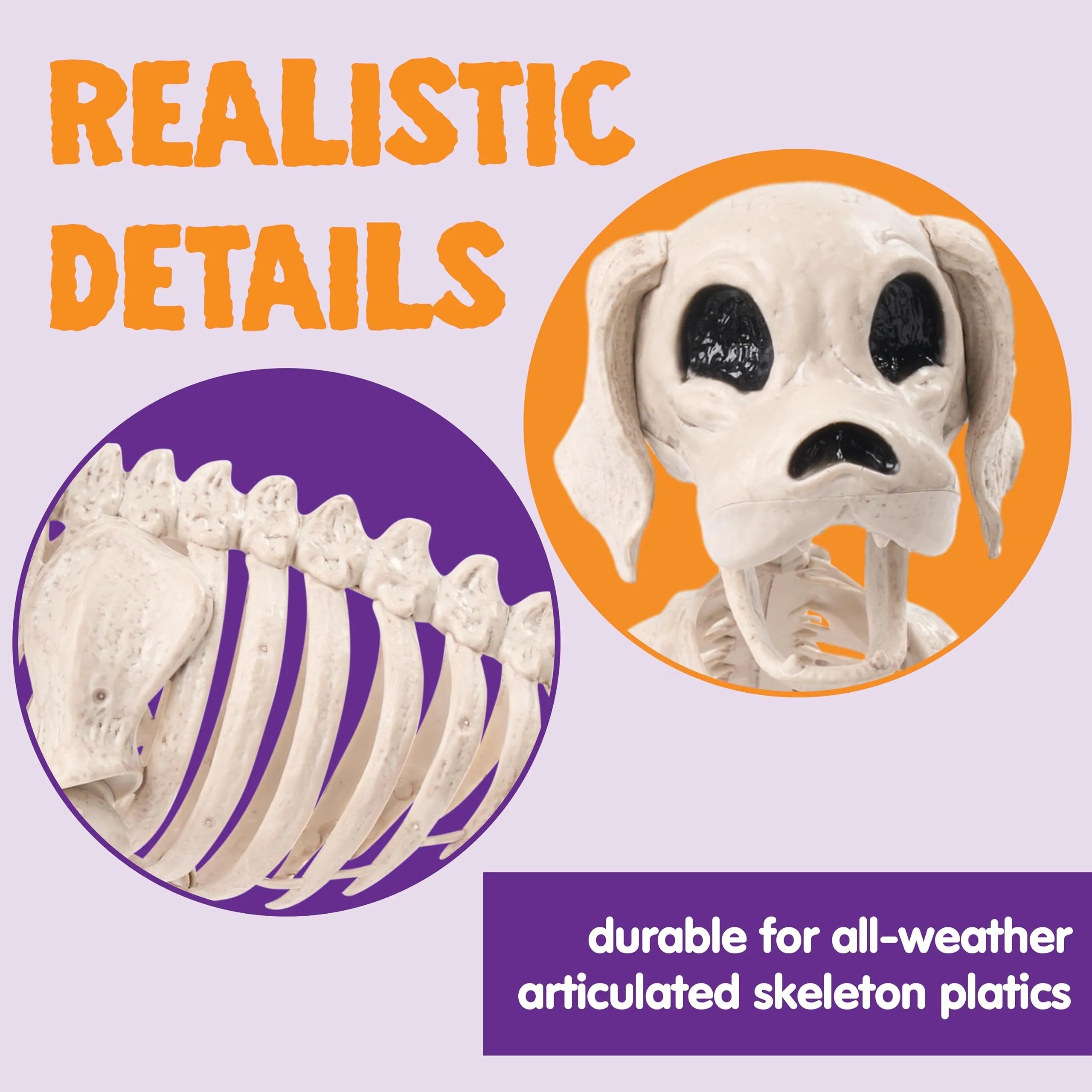 Posable Halloween Dog Skeleton - Full Body with Posable Joints - Skeleton Puppy