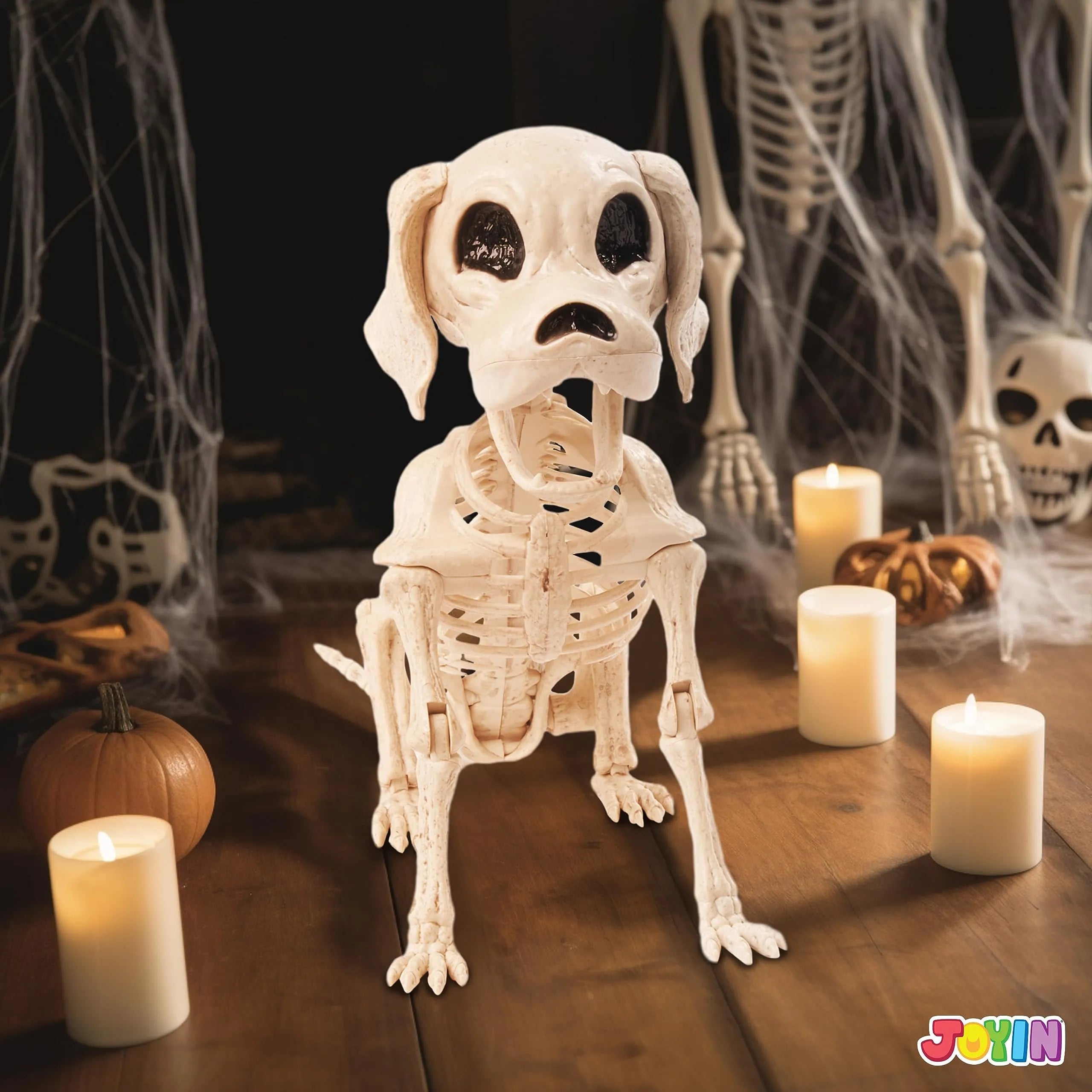 Posable Halloween Dog Skeleton - Full Body with Posable Joints - Skeleton Puppy