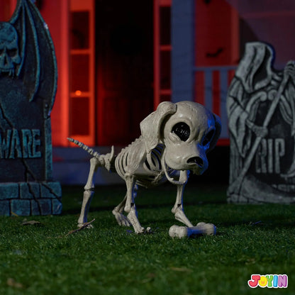 Posable Halloween Dog Skeleton - Full Body with Posable Joints - Skeleton Puppy
