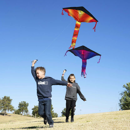 Delta Multicolor Kite, 3-Pack