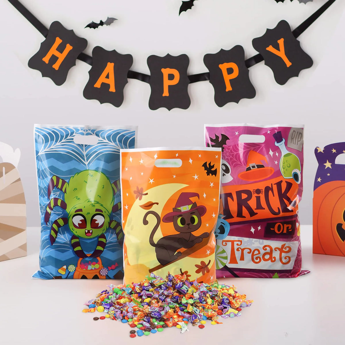 Goody Bags with 6 Designs